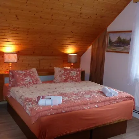 U Hanicky Guest house